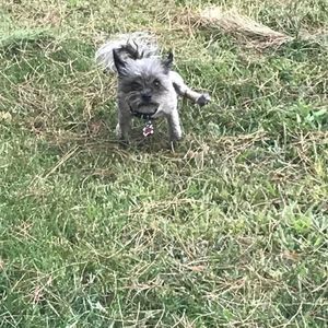 Meet your Posher, Kris